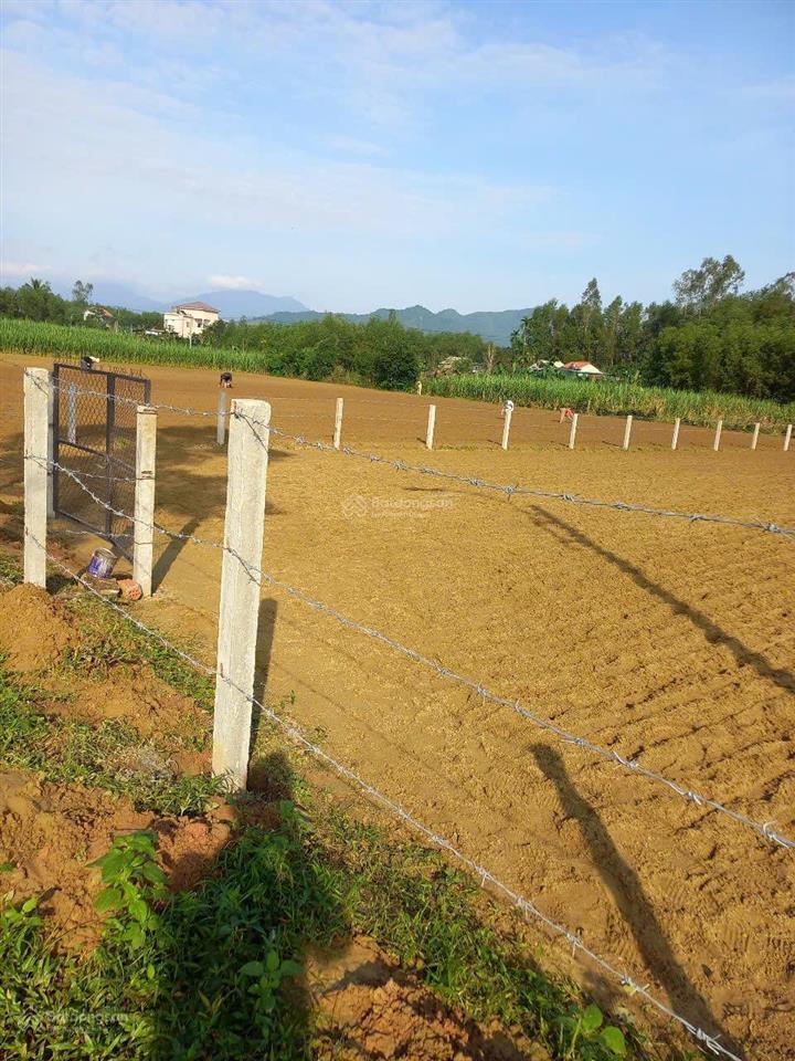 Chỉ 850 triệu có ngay lô đất trồng cây làm vườn. khu vực hòa nhơn. đất cao ráo sạch sẽ