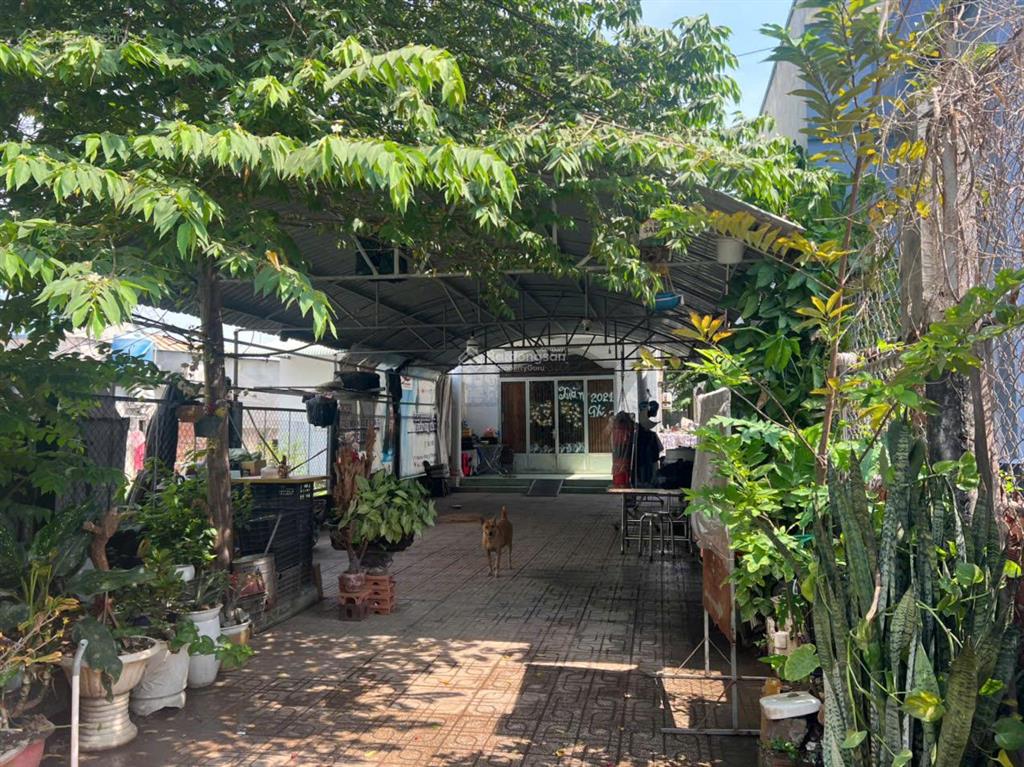 Bán nhà cấp 4 mặt tiền đường hùng vương xã vĩnh thanh, huyện nhơn trạch, cũ