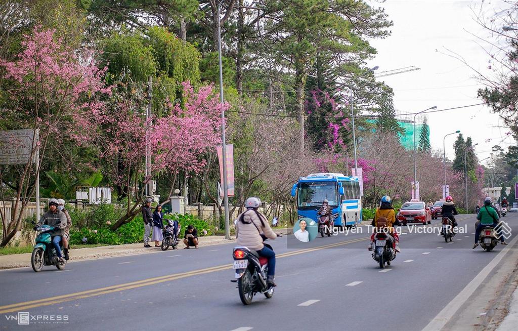 Bán nhà phố mặt tiền đường an sơn, p.4 nhà đẹp 4 tầng có thang máy, khu homestay hot nhất đà lạt!