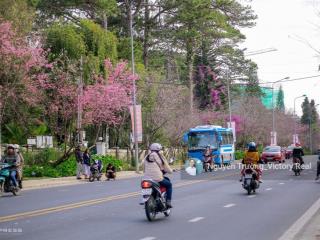 Bán nhà phố mặt tiền đường an sơn, p.4 nhà đẹp 4 tầng có thang máy, khu homestay hot nhất đà lạt!