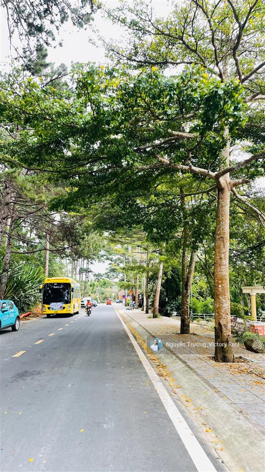 Biệt thự du lịch cao cấp khởi nghĩa bắc sơn, phường 10, đà lạt 1.140m2 (ngang 33m, dài 38m)