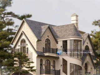 Biệt thự villa cao cấp gần rừng thông * lá + nội thất đức + hồ bơi riêng + thang máy