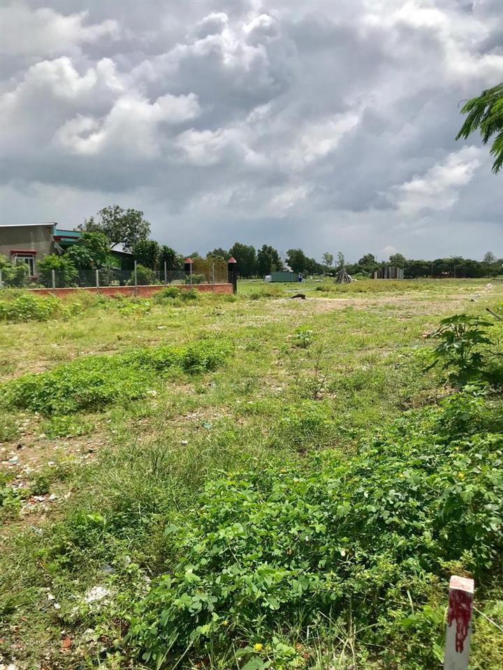 Bán gần 2ha đất tân phú trung, củ chi, tphcm