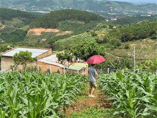 Giá siêu ưu đãi! đất nam hà, view cực đẹp, 1,199 tỷ  626m2, có 101m2 thổ cư