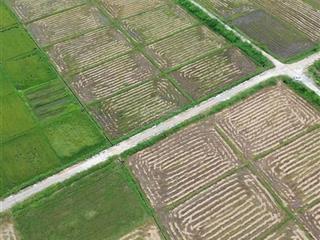 Hàng hiếm tại xã suối cát, cam lâm, khánh hòa, 350 triệu, 980m2