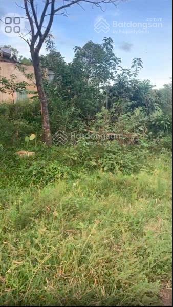 Lô góc cạnh kcn vinfast kỳ anh 2000 ha chỉ hơn 7tr/m2