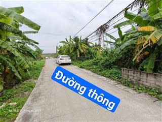 Bán đất 90m2 tại lâm động, thủy nguyên, hải phòng  2,65 tỷ chính chủ uy tín