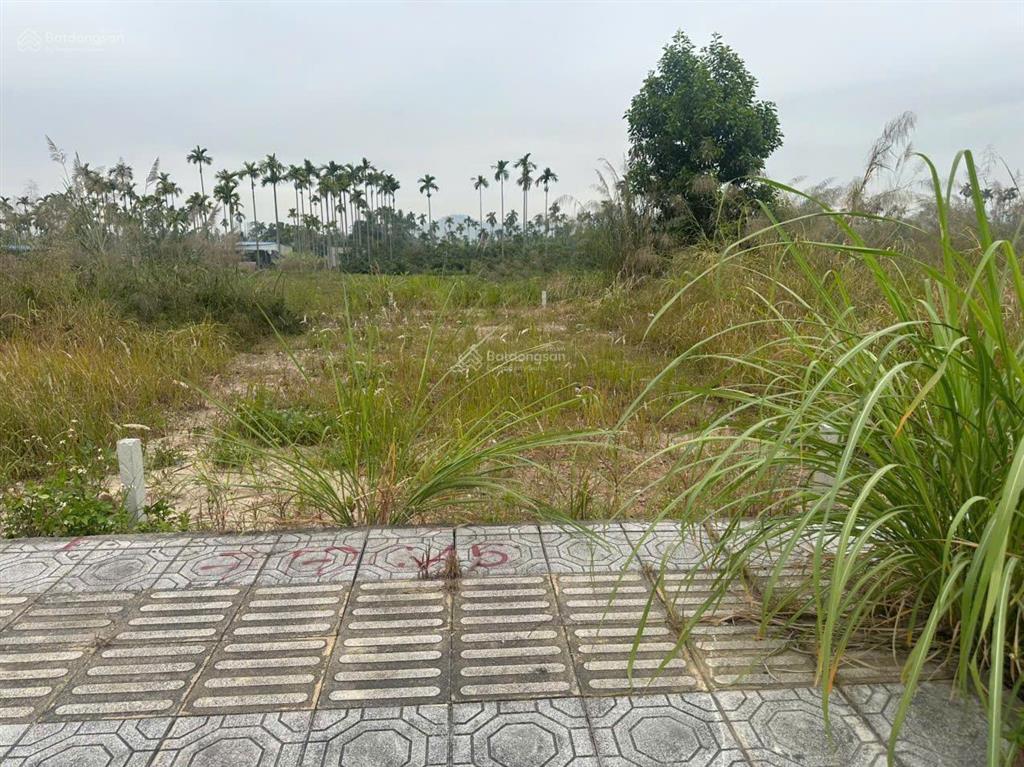 Bán đất lô góc đấu giá hoa động, thủy nguyên, hải phòng, 3,95 tỷ, 73m2, view đẹp, uy tín