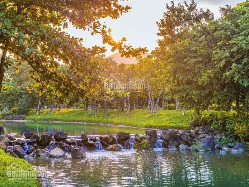 Chính chủ khu c6 xanh villas diện tích 258m2 nhà xây thô giá 16 tỷ x