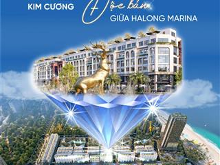 Shophouse sora bay hạ long 97,5m2, mặt tiền 6,5m. giá cực chất, vị trí đắc địa, kinh doanh tốt