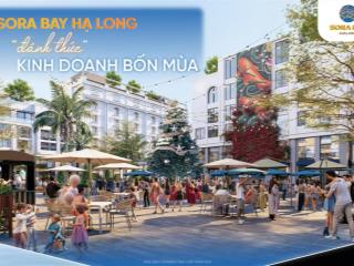 Shophouse gần biển sở hữu lâu dài trung tâm bãi cháy, hạ long. giá mở bán siêu hấp dẫn