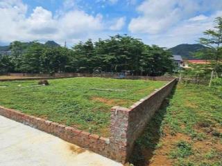 Bán đất 506 m2 tại xã yên xuân, tp hà nội, giá đầu tư