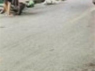 Chủ đang rất cần bán đã giảm giá còn hơn 12tỷ xíu có ngay nhà c4, 85m2 mặt tiền 4m mặt phố nam dư