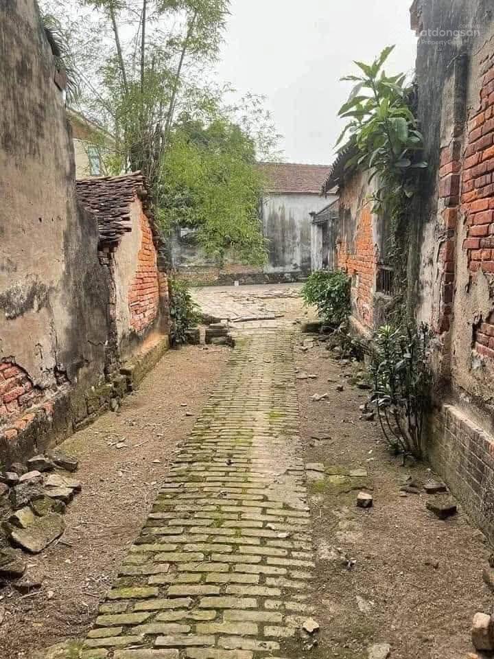 Bán gấp đất tại ngõ hòa bình 7 minh khai, hbt 9,9 tỷ, 56 m2 mặt tiền 4m giá siêu hời tặng gpxd 7t