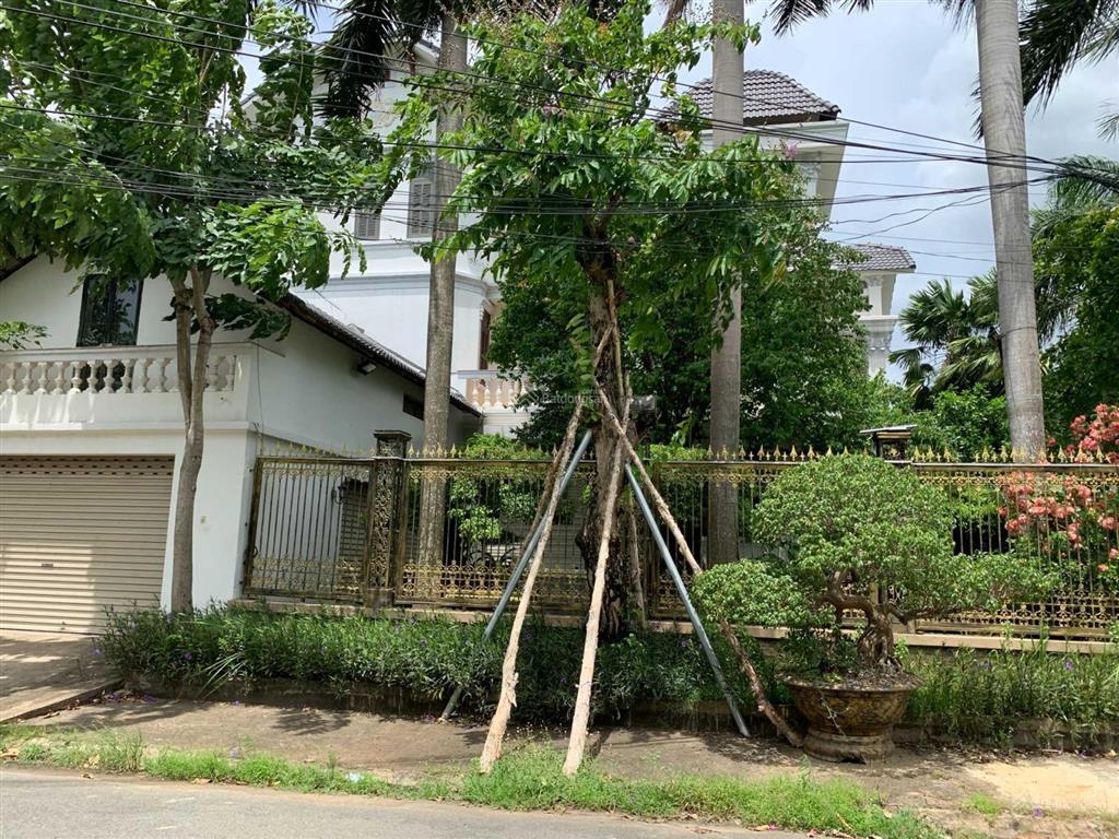 Siêu thị đất nền gửi bán đất nền dự án đh bách khoa, phú hữu quận 9 sổ đỏ vị trí tốt đầu tư