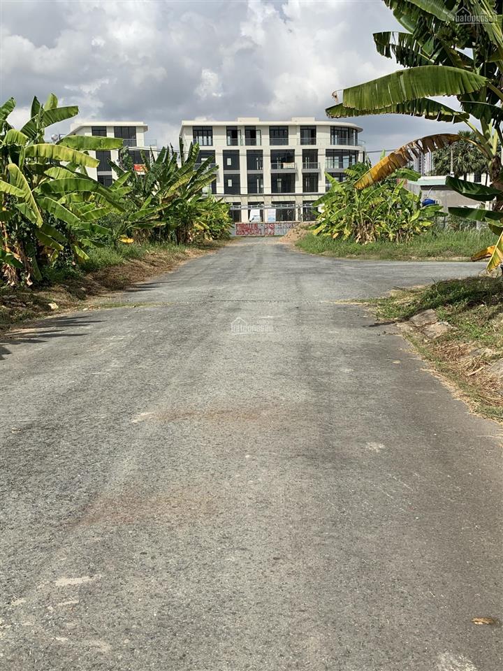 Kho đất nền dự án sở văn hóa thông tin phường phú hữu quận 9 giá rẻ cam kết giá tốt nhất thị trường