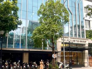 Building kđt cầu giấy, trần thái tông dt 121m2 x 9 tầng, mt 11m lô góc. giá chào bán 66.66 tỷ