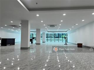 Siêu phẩm
tòa nhà mặt đường trịnh văn bô , nam từ liêm dt 220m x7 tầng, mt 10m
giá 73 tỷ