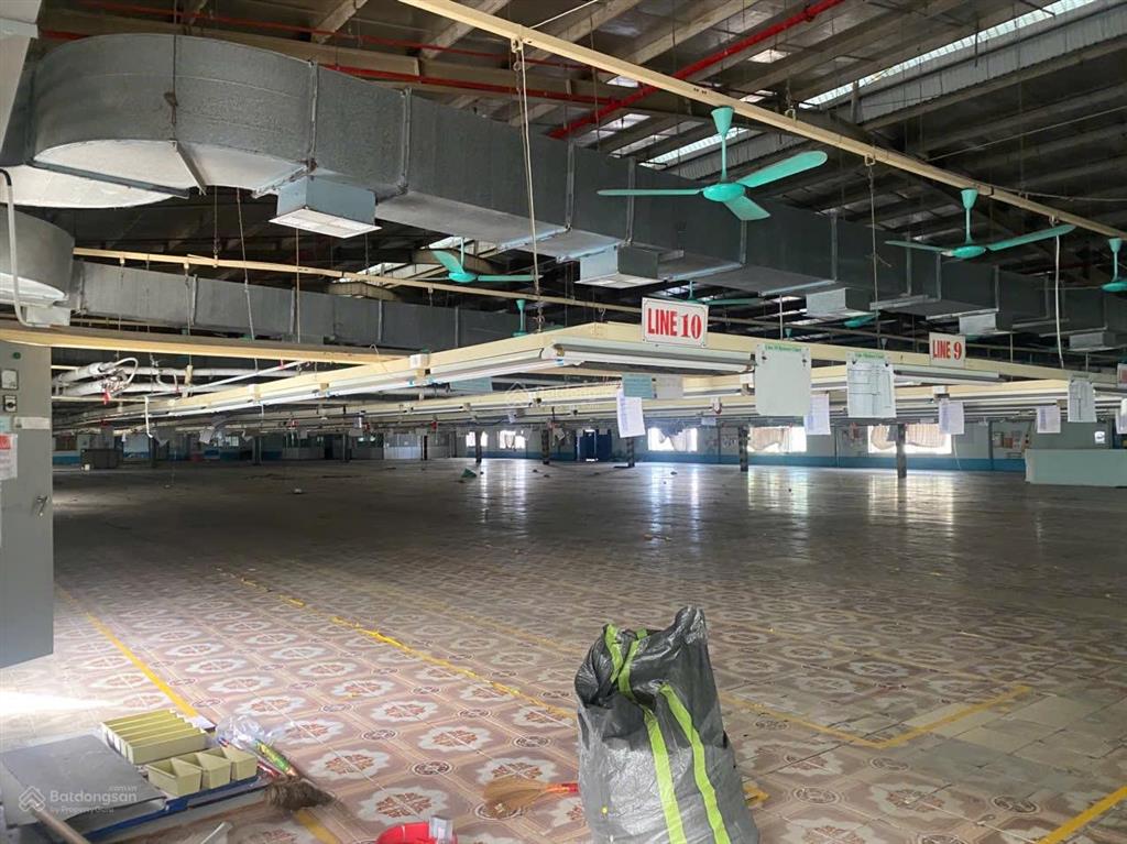 Cho thuê xưởng tiêu chuẩn xuất khẩu bạch samhưng yên