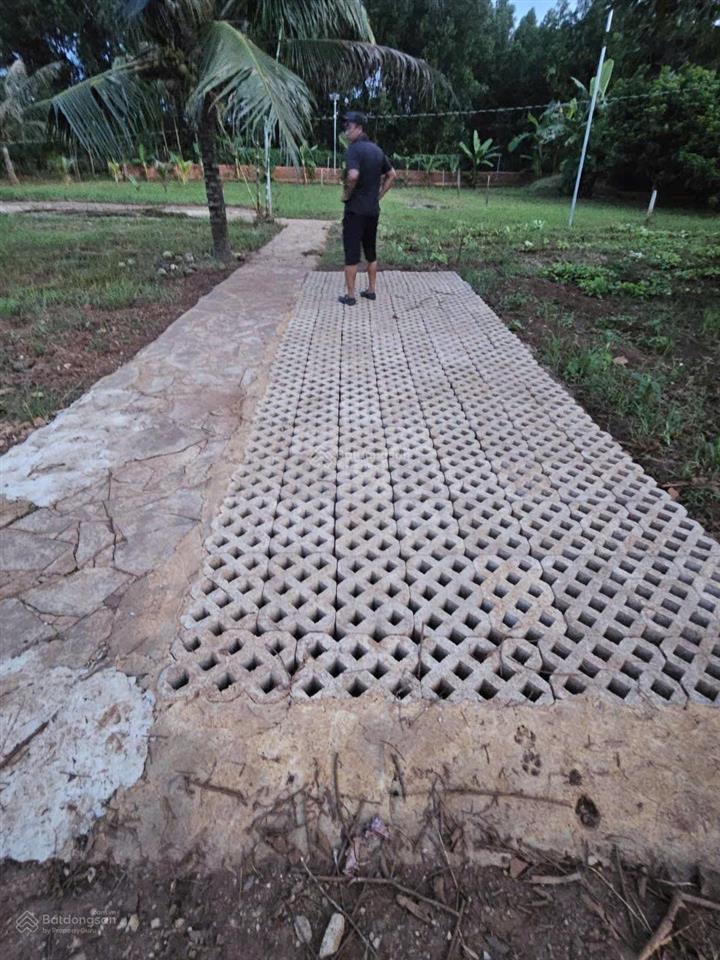 Đất view suối 5.600m² tại sông nhạn gần sân bay long thành pháp lý chuẩn  gía tốt