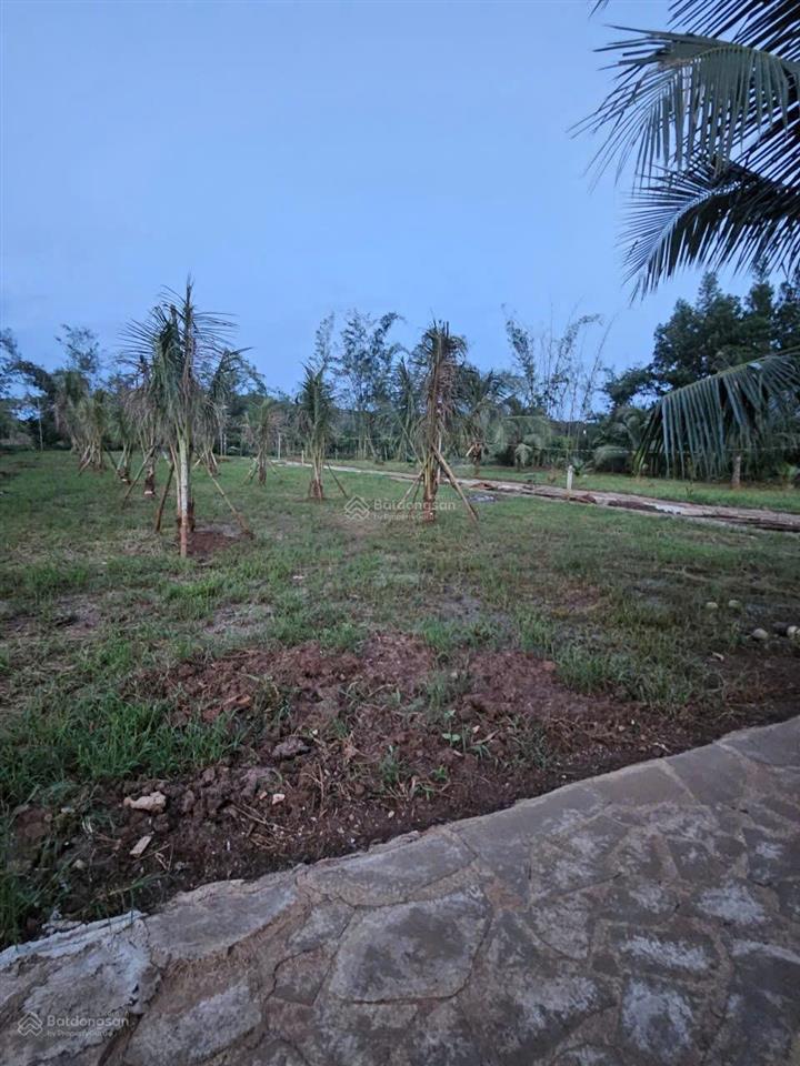 Đất view suối 5.600m² tại sông nhạn gần sân bay long thành pháp lý chuẩn  gía tốt