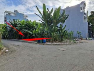 BÁN ĐẤT ĐƯỜNG XE HƠI – 52m2 (4x13), TAM ĐA, LONG PHƯỚC (TRƯỜNG THẠNH CŨ)