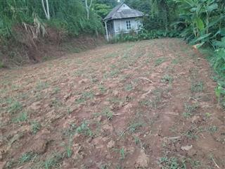 Chính chủ bán lô dt 3600m2 400m2 đất ở. mt 40m. gần thác trăng, tân lạc, hòa bình