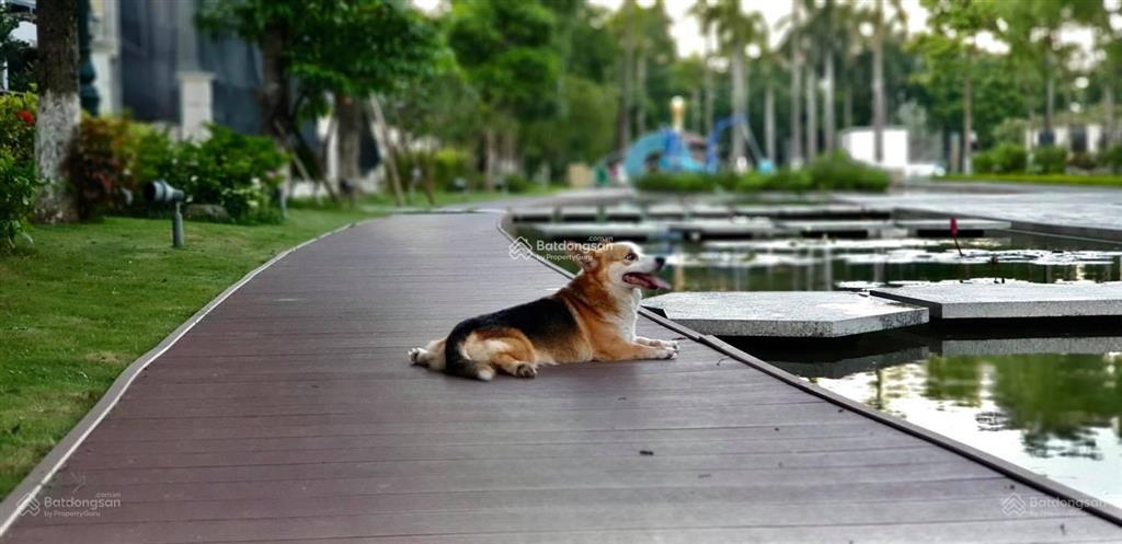 [độc quyền] liền kề dự án giá tốt nhất gần splendora mailand  chỉ 15 tỷ | đầu tư