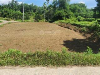 Bán 521m2 đất cây hằng năm, hòa phú, hòa vang