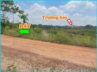 Chính chủ bán khu đất nghỉ dưỡng gần sông sg, phường tây nam, hcm, 1,46 tỷ, 1000m2, hàng hiếm