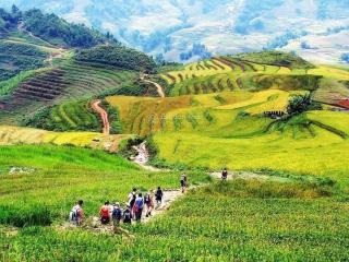 201m2 đất đẹp sapa sín chải cát cát