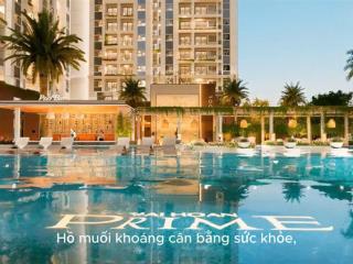 Bán căn hộ tại khu nam sài gòn giá chỉ 2,9 tỷ/căn