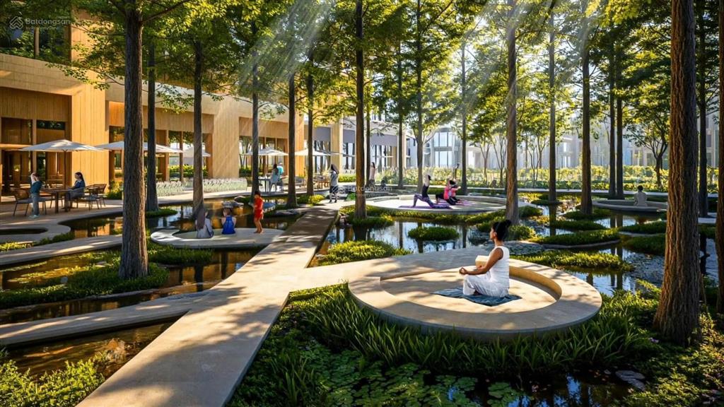 Lần đầu tiên sun group triển khai đô thị nha trang charmora city theo mô hình sponge city nổi tiếng