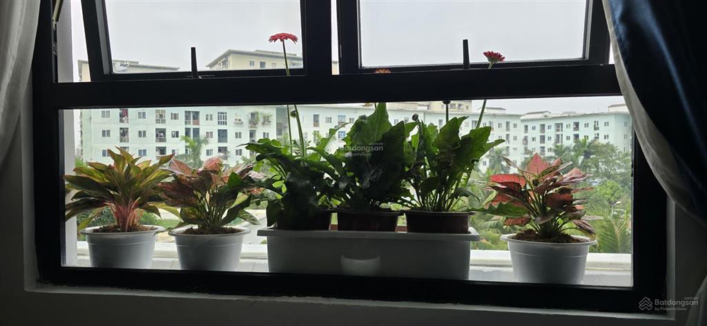 Căn hộ chung cư cao cấp eco city việt hưng, long biên 78m2, 2pn, 2wc view nội khu