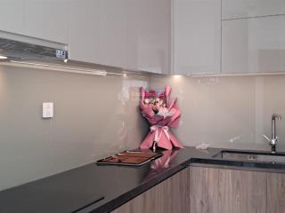 Căn hộ chung cư diamond alnata, bán 7 tỷ, 88m2, 2pn, 2wc tại sơn kỳ, tân phú, hcm  hàng hiếm!