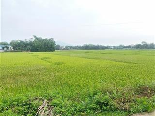 Đất nền rẻ nhuận trạch đẹp long lanh