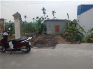 Đất nền bán gấp tại lê hồng phong, thủy nguyên, hải phòng, 5,3 tỷ, 133m2