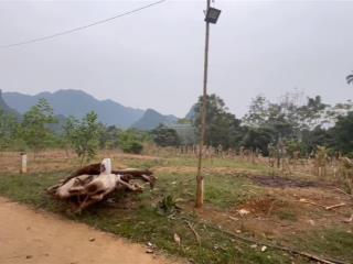 Chính chủ bán đất xã minh sơn, ngọc lặc