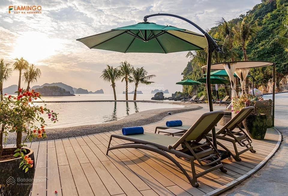Sốc bán 2,5 tỷ căn 5* flamingo cát bà, sổ đỏ 40m2 view biển ban công rộng lợi nhuận ngay