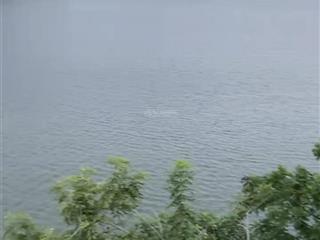 Bán nhà riêng gần công viên nước hồ tây, trịnh công sơn, lạc long quân, ngõ thông rộng, gần mặt phố