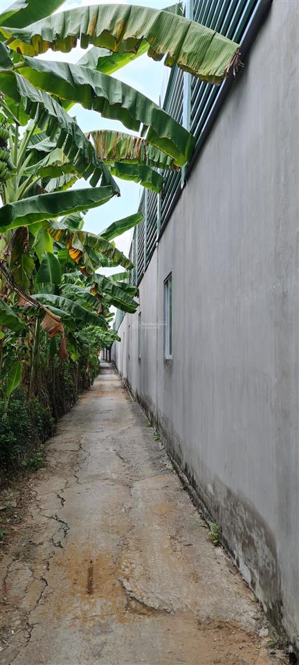 Bán kho, xưởng mặt tiền ql1a, cái bè, tiền giang