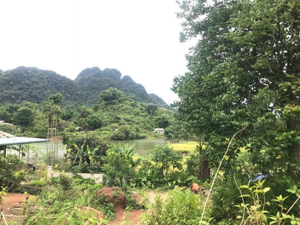 Chính chủ bán lô đất 700m2 view hồ tân lạc giá không qua trung gian chỉ có 399tr