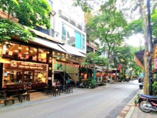 Nguyên hồng 23.8 tỷ 55m2  phân lô v.ip  kinh doanh  ô tô tránh đỗ  vỉa hè