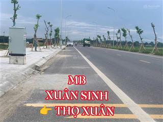 Bán đất nền 125m2 tại thọ xuân, thanh hóa, chỉ với giá ưu đãi 960 triệu vnd