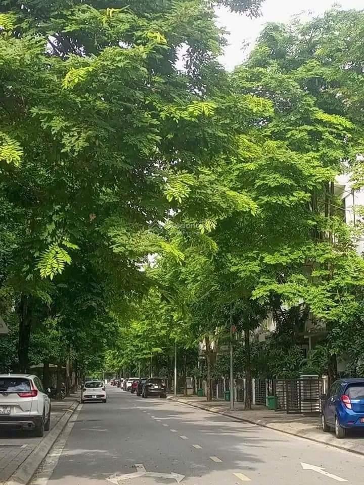 Liền kề vinhomes 90m 95m2, 99m2 128m2, giá chỉ từ 170 triệu/m2 .0888 801 ***