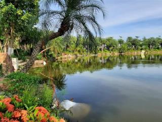 Bán bt tại kđt từ sơn garden city, giá thỏa thuận, 380m2