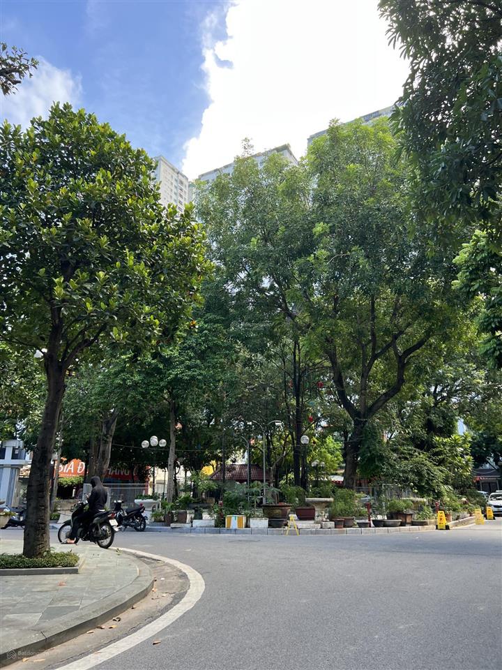 Bán biệt thự kinh doanh đẹp nhất tây nam linh đàm, 250m2 x 4t, nội thất cao cấp. 73 tỷ