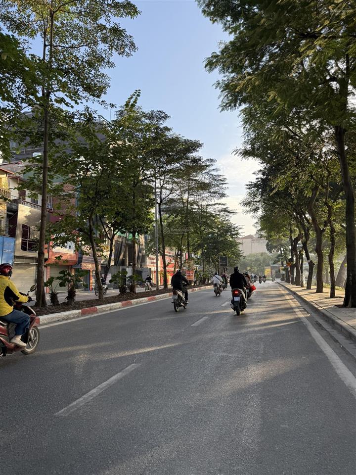 Độc bảncặp biệt thự đôi vip nhất giữa lòng bán đảo linh đàm508m2146 tỷ đường rộng nhất bán đảo