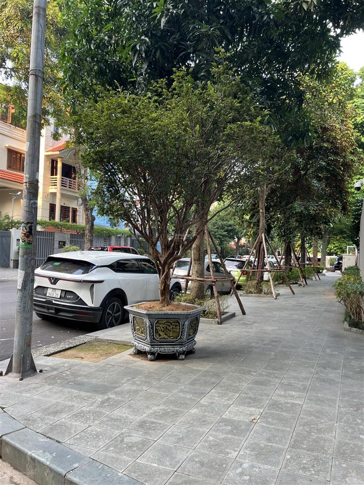 Độc bảncặp biệt thự đôi vip nhất giữa lòng bán đảo linh đàm508m2146 tỷ đường rộng nhất bán đảo