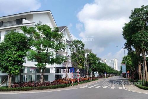 Bán căn song lập gamuda 3 mặt thoáng 120m2 vị trí đẹp view vườn hoa full đồ có thang máy.